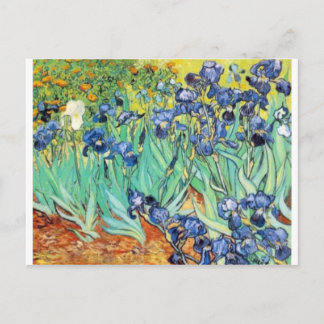 Irises by Vincent Van Gogh Postcard