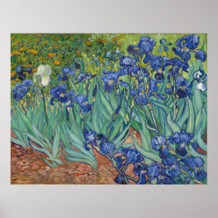 Irises by Vincent Van Gogh Poster