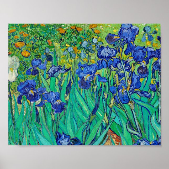 Irises by Vincent Van Gogh Poster (Front)