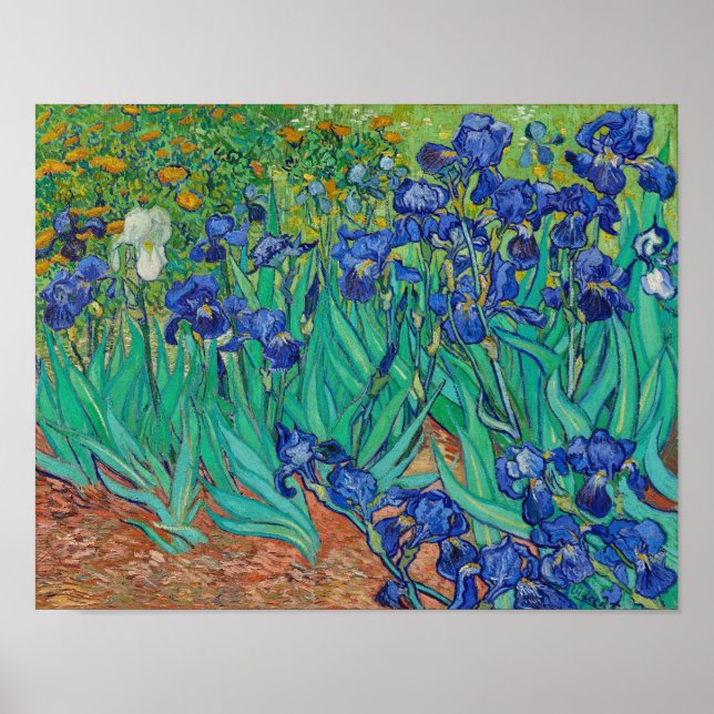 Irises by Vincent Van Gogh Poster (Front)