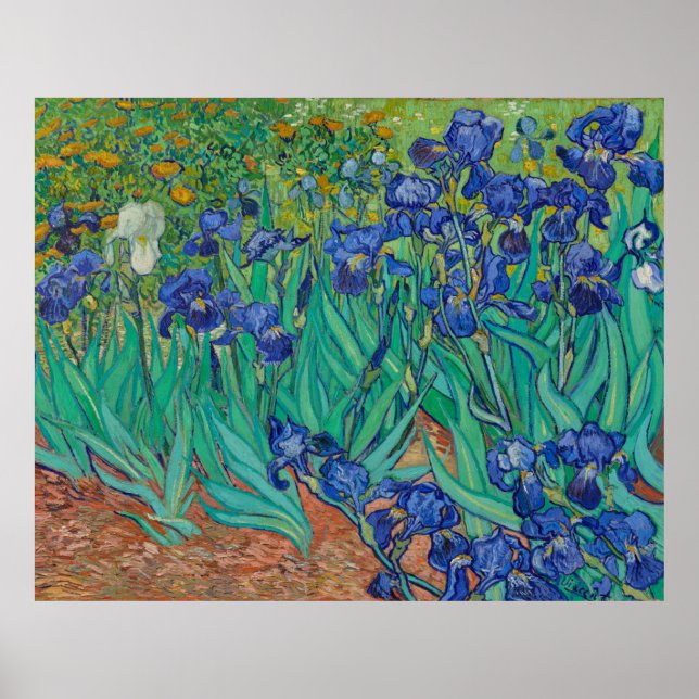 Irises by Vincent Van Gogh Poster (Front)