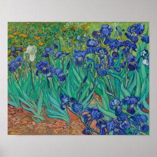 Irises by Vincent Van Gogh Poster