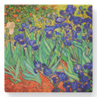 Irises by Vincent Van Gogh