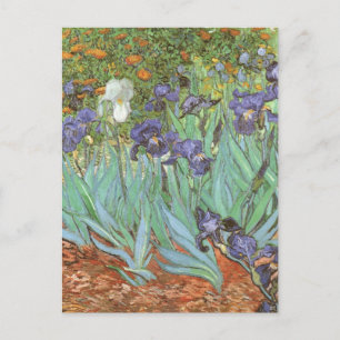 Irises by Vincent van Gogh, Vintage Flowers Art Postcard