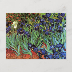 Irises by Vincent van Gogh, Vintage Garden Art Postcard