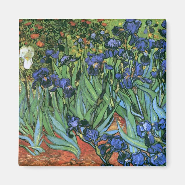 Irises (F608) Van Gogh Fine Art Magnet (Front)