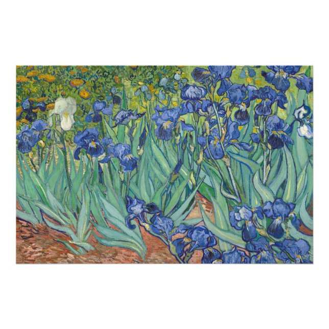 Irises, Floral Oil Painting, Vincent Van Gogh Photo Print (Front)