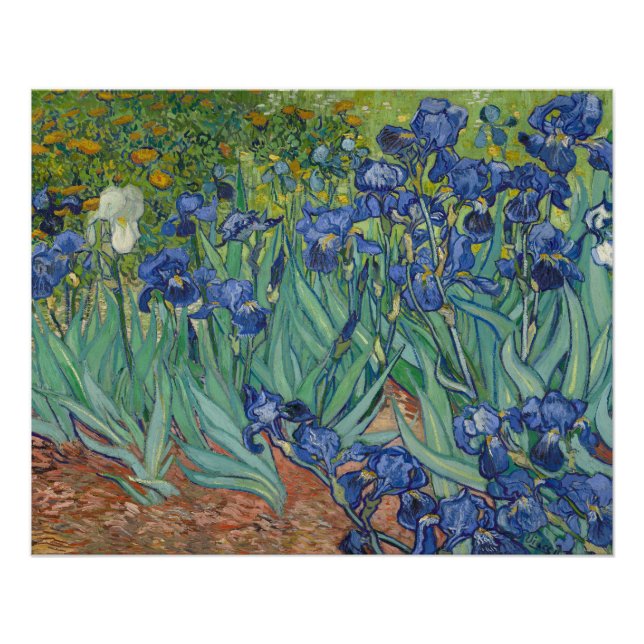 Irises, Floral Oil Painting, Vincent Van Gogh Poster (Front)