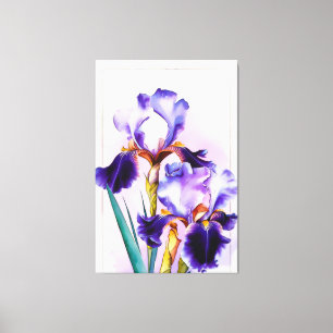 *~* Irises Flower Artsy Painting AP84 Iris Canvas Print