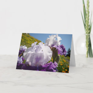 Irises Flowers greeting cards Purple Iris Flowers