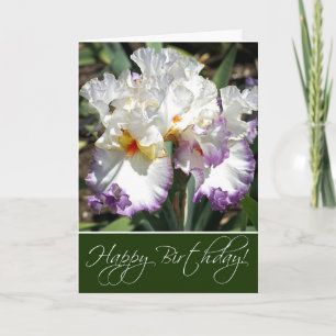 Irises Greeting Card