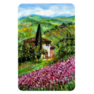 IRISES IN TUSCANY MAGNET