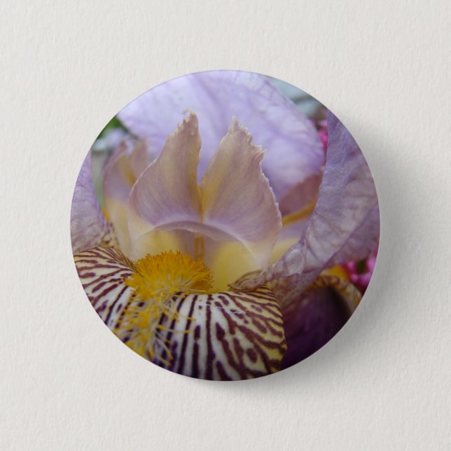 IRISES IRIS Flowers BUTTONS BUTTON Gifts Floral (Front)