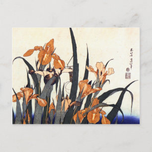 Irises, Katsushika Hokusai Postcard