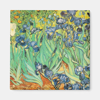 Irises Magnet