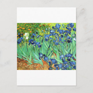 Irises ~ Monet Postcard