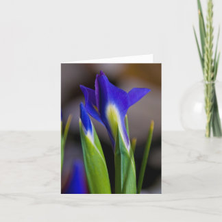 Irises Note Card