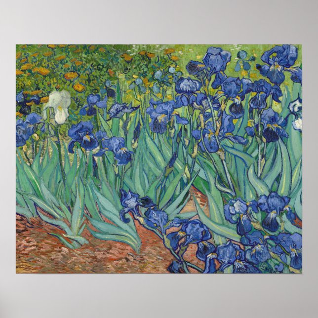 Irises Poster (Front)