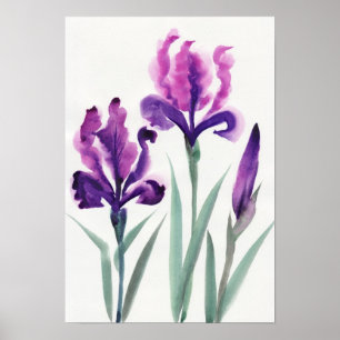 Irises Poster