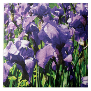 Irises Princess Royal Smith Ceramic Tile