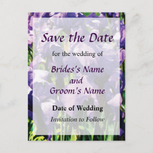 Irises Princess Royal Smith Save the Date Announcement Postcard