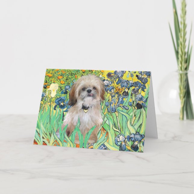 Irises - Shih Tzu (P) Card (Front)