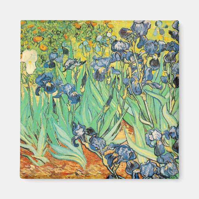 Irises - Van Gogh - c1889 Magnet (Front)