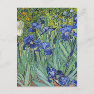 Irises Vincent van Gogh Artwork Holiday Postcard