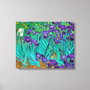 Irises, Vincent van Gogh Canvas Print
