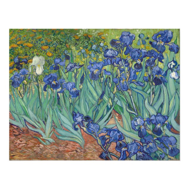 Irises Vincent Van Gogh Photo Print (Front)