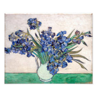 Irises | Vincent van Gogh |
