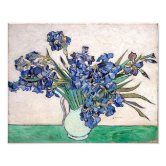 Irises | Vincent van Gogh | Photo Print