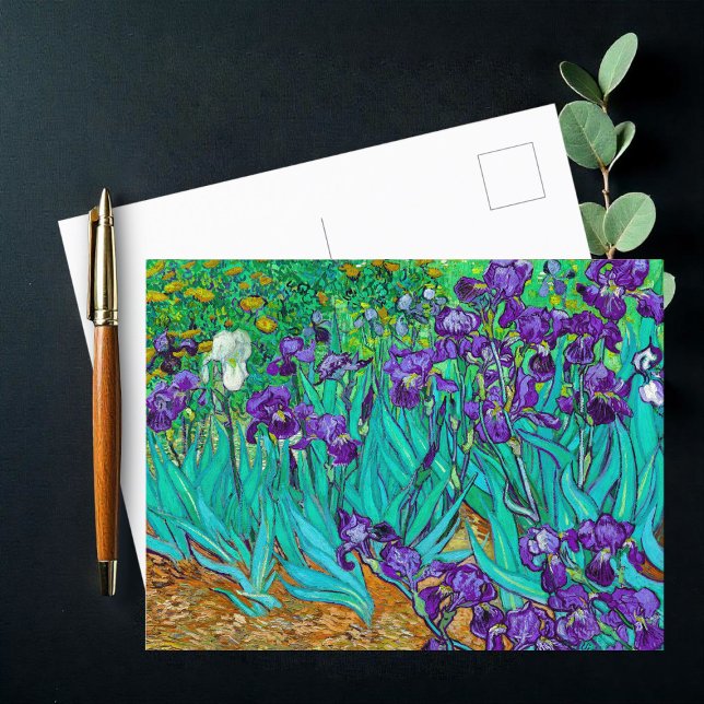 Irises, Vincent van Gogh Postcard (Creator Uploaded)