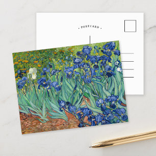 Irises   Vincent van Gogh Postcard