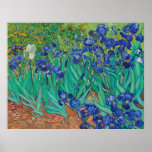 Irises | Vincent Van Gogh Poster<br><div class="desc">Irises | Vincent Van Gogh</div>