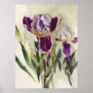 Irises watercolor painting poster