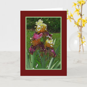 Irises/Yellow And Burgundy/Happy Birthday Card