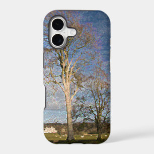 Irish Beech Trees
