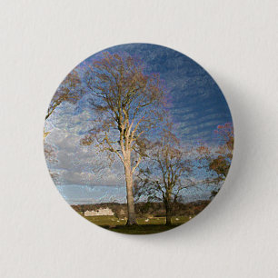 Irish Beech Trees 6 Cm Round Badge
