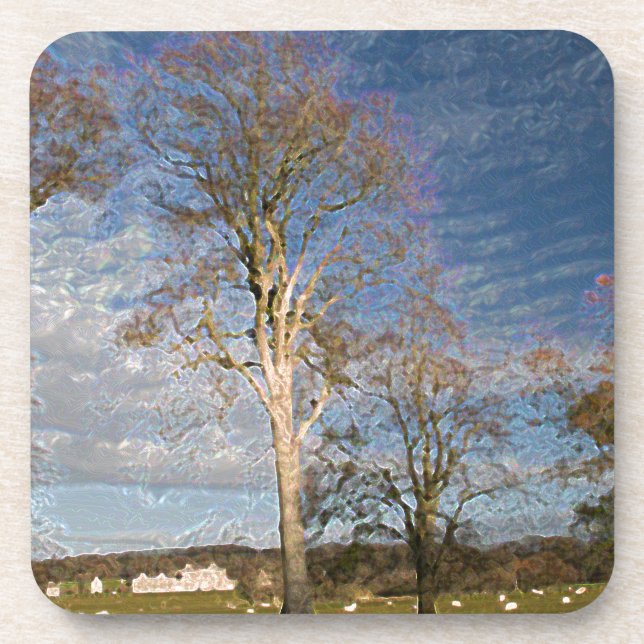 Irish Beech Trees Coaster (Front)