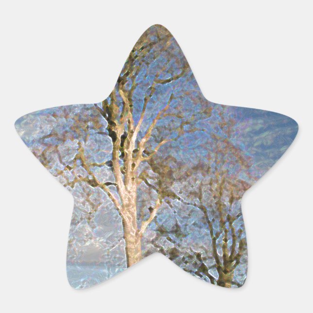 Irish Beech Trees Star Sticker (Front)