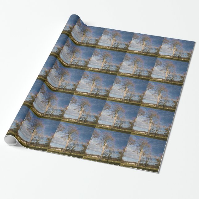 Irish Beech Trees Wrapping Paper (Unrolled)