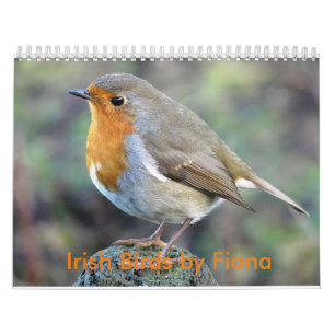 Irish birds calendar