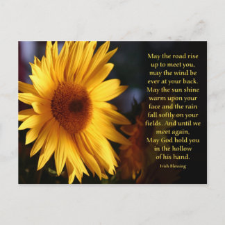 Irish Blessing Postcard