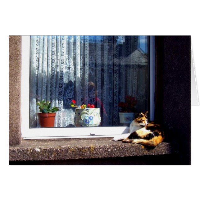 irish cat on a windowsill card (Front Horizontal)