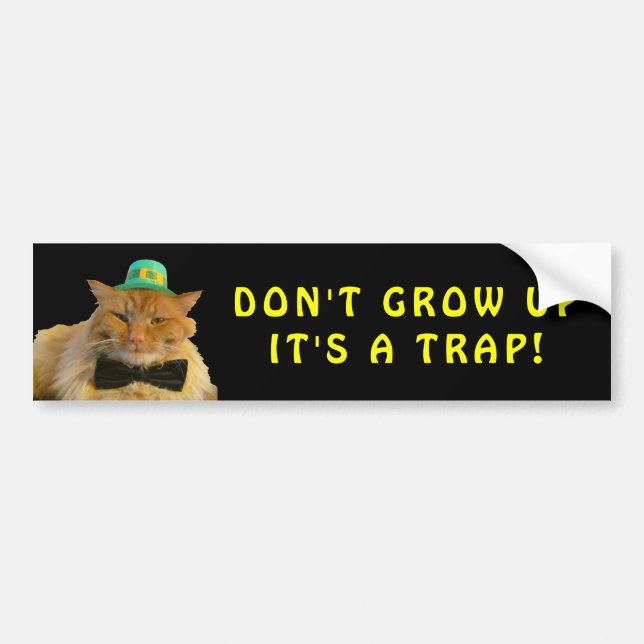 Irish Cat Says Don't Grow Up Meme Bumper Sticker (Front)