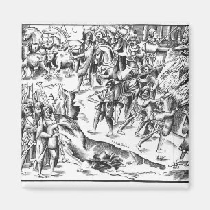 Irish Cattle Raid on an English Plantation Magnet