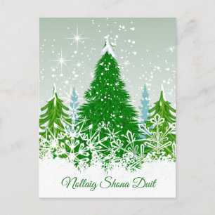 Irish Christmas, snowy green fir trees Holiday Postcard