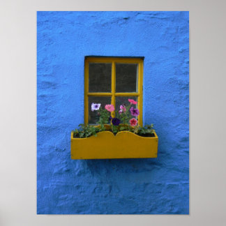 Irish Cottage Windowbox Poster