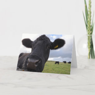 Irish cow! card